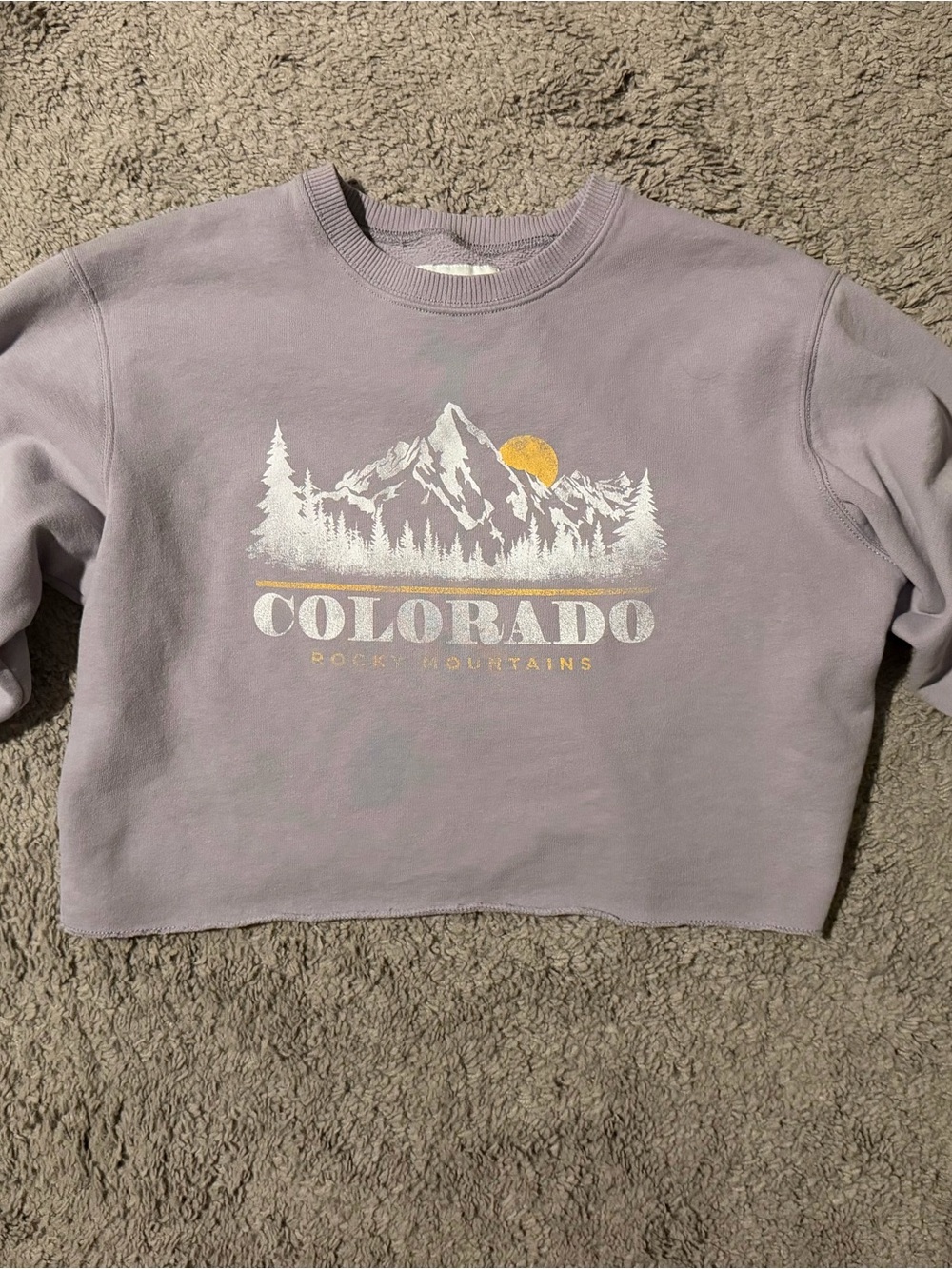 Hollister Lavender Colorado Graphic Cropped Sweatshirt